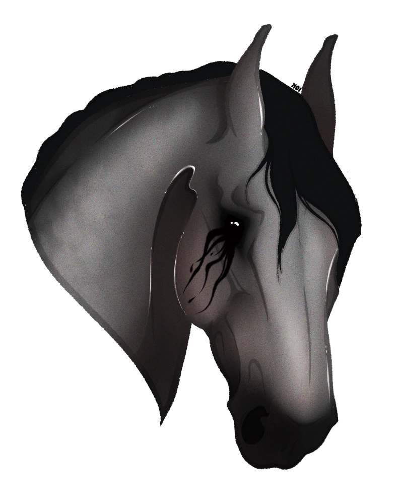 Click to view larger size 11686 Raffle