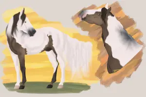 Submission thumbnail