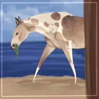 Submission thumbnail