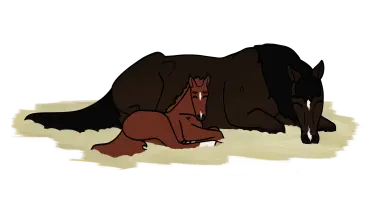 Submission thumbnail