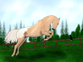 Submission thumbnail