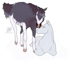 Submission thumbnail