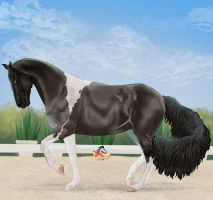 Submission thumbnail