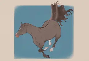 Submission thumbnail