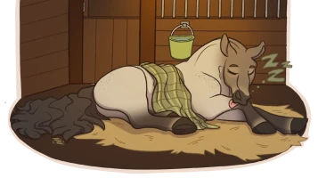 Submission thumbnail