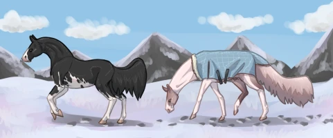 Submission thumbnail