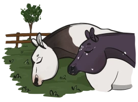 Submission thumbnail