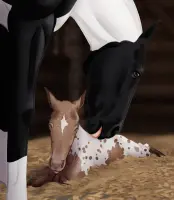 Submission thumbnail