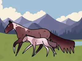 Submission thumbnail