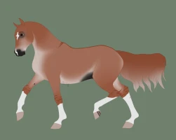 Submission thumbnail