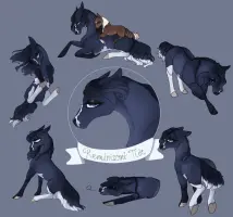 Submission thumbnail