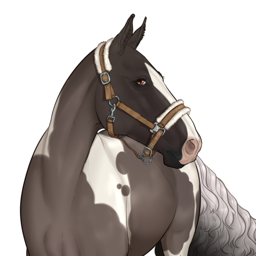 Click to view larger size Oreo Blizzard