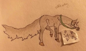 Submission thumbnail