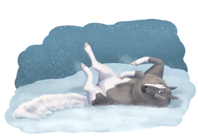 Submission thumbnail
