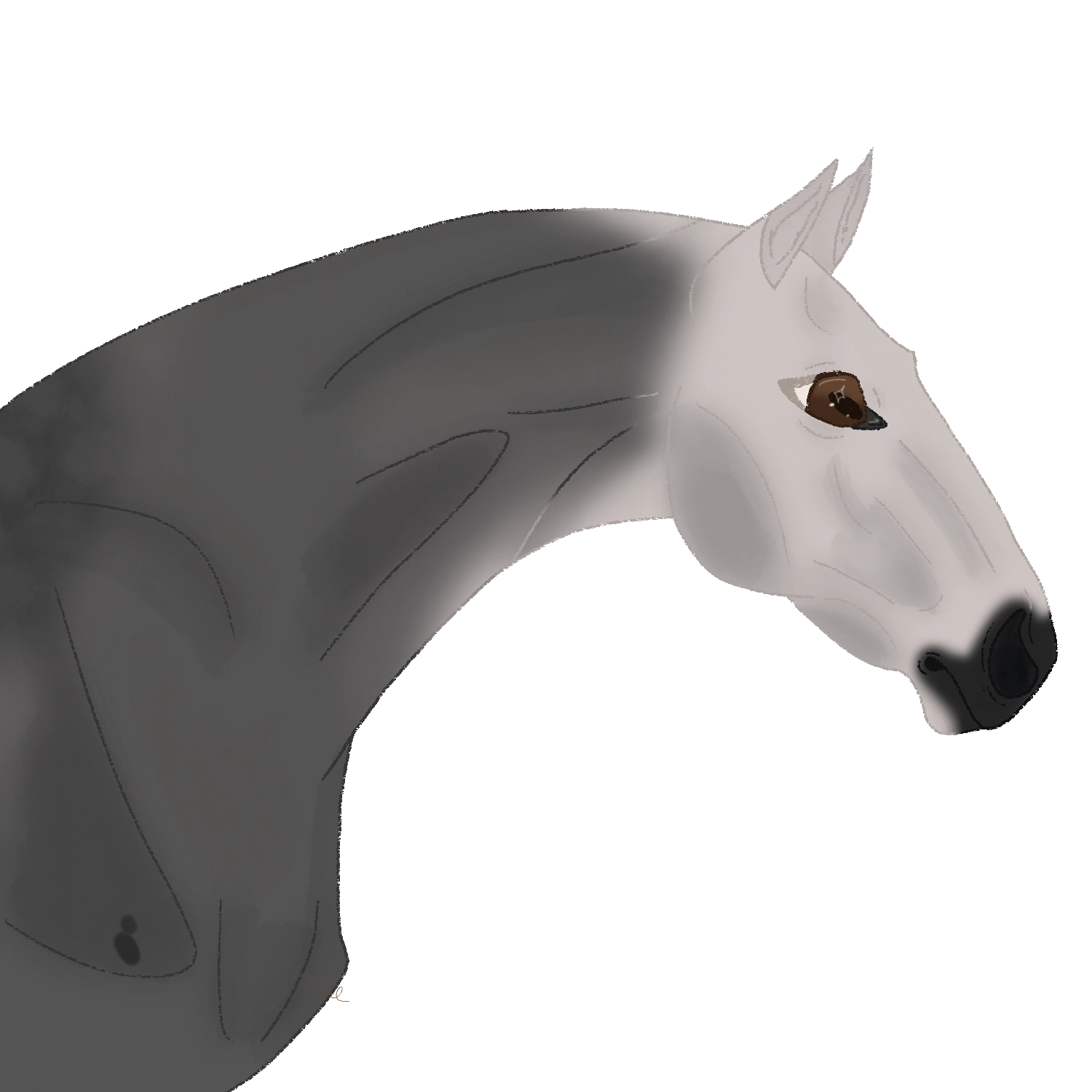 Click to view larger size under the moon