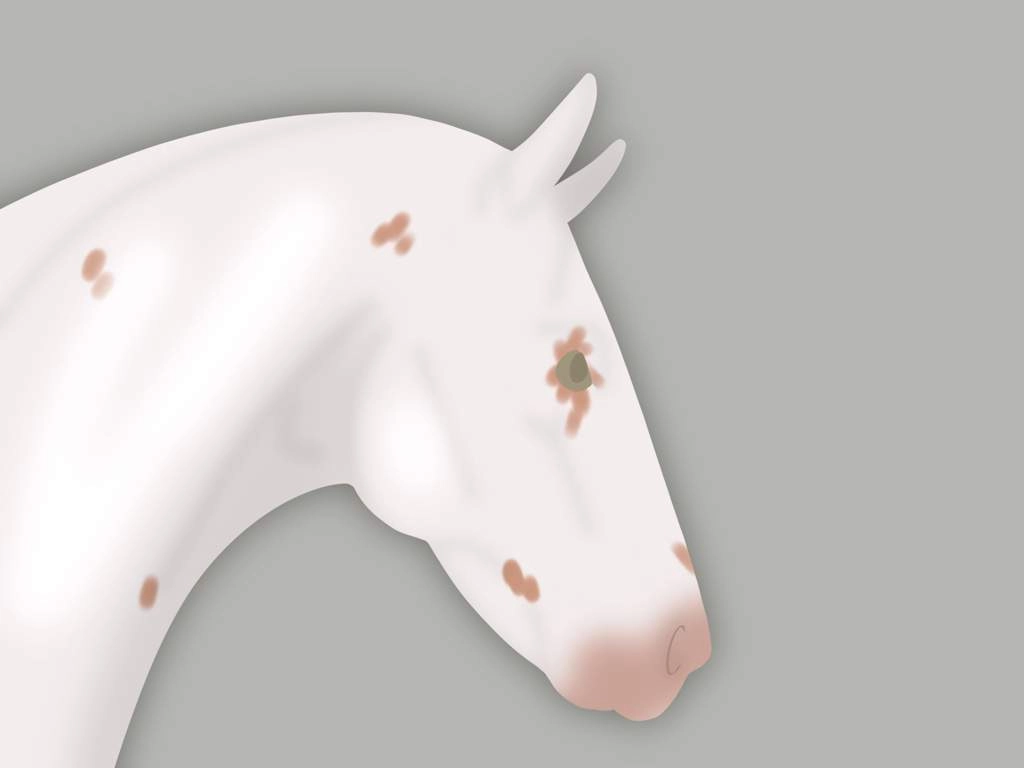 Click to view larger size 8018