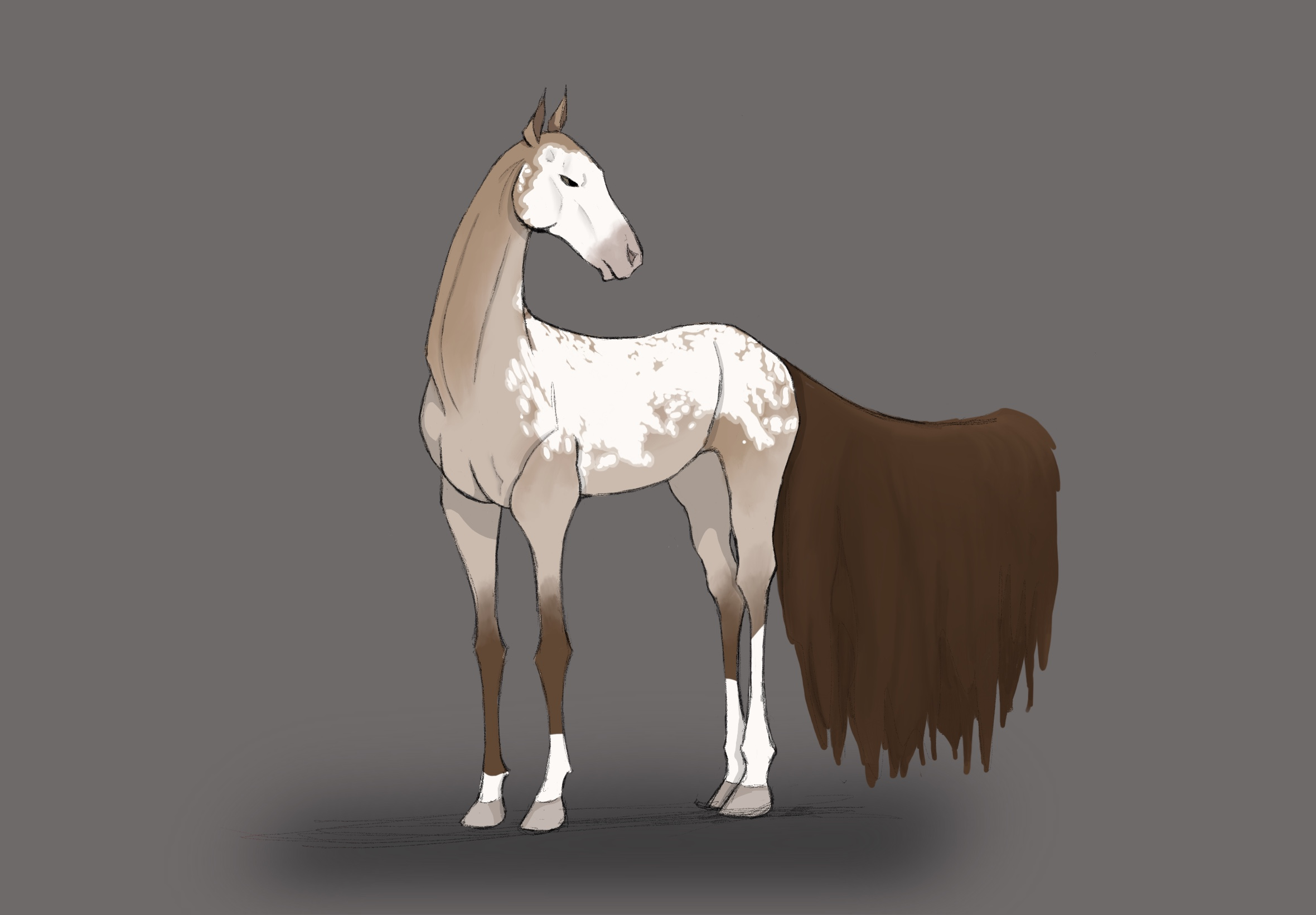 Click to view larger size Adoption 2127