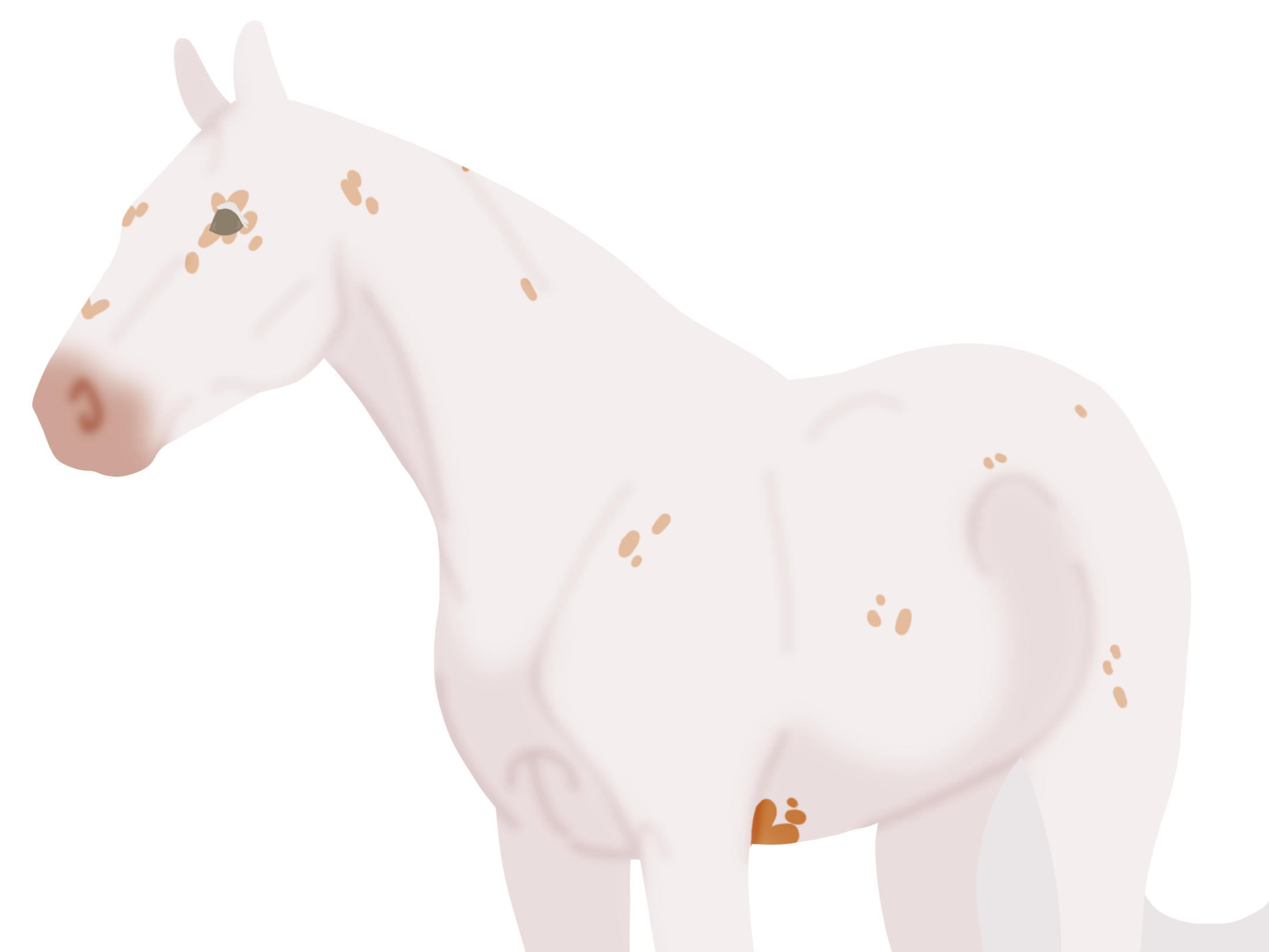 Click to view larger size 8018