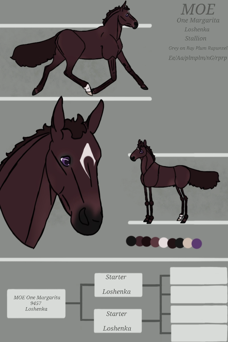 Click to view larger size Margarita Foal Reference