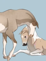 Submission thumbnail