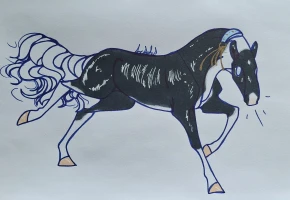 Submission thumbnail