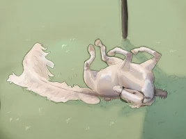 Submission thumbnail