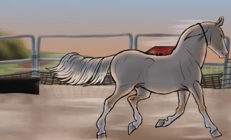 Submission thumbnail