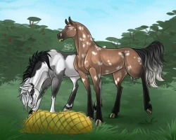 Submission thumbnail