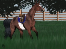 Submission thumbnail