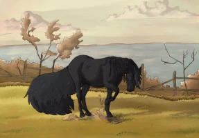 Submission thumbnail