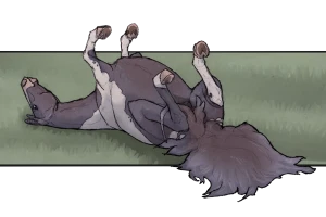Submission thumbnail