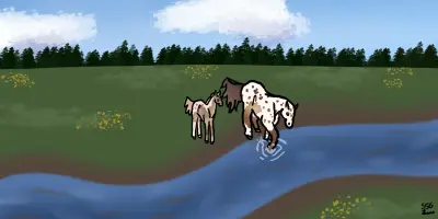 Submission thumbnail